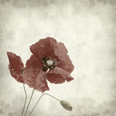 desenli eski kağıt arkaplan  