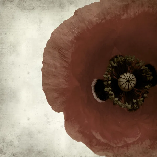 desenli eski kağıt arkaplan  