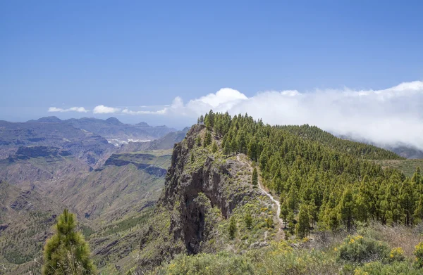 Binnenland van Gran Canaria, hiking pad — Stockfoto