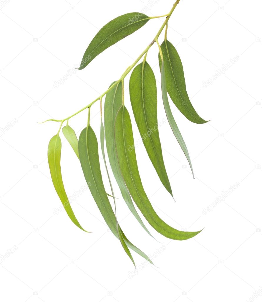 My Image 14