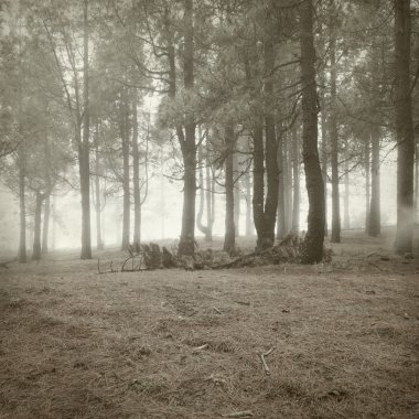 desenli eski kağıt arkaplan  