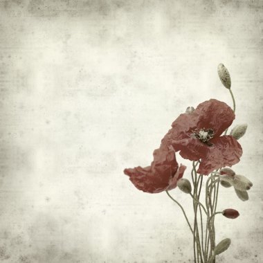 desenli eski kağıt arkaplan  