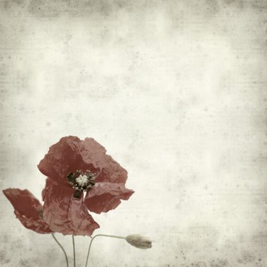 desenli eski kağıt arkaplan  