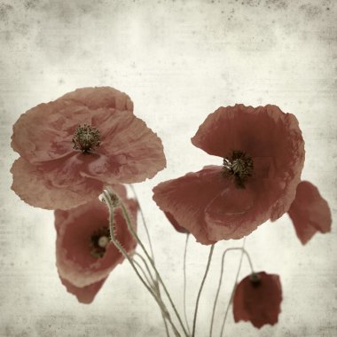 desenli eski kağıt arkaplan  