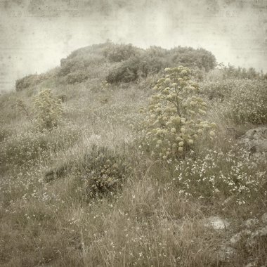 desenli eski kağıt arkaplan  