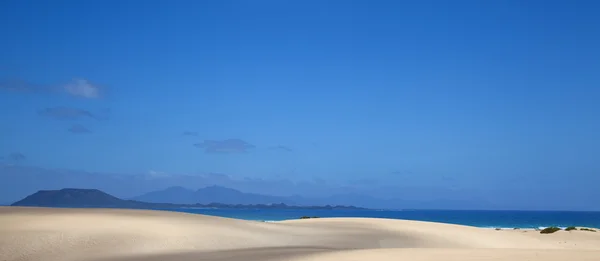 Fuerteventura sanddyner — Stockfoto