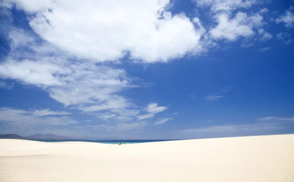 Fuerteventura písečné duny — Stock fotografie