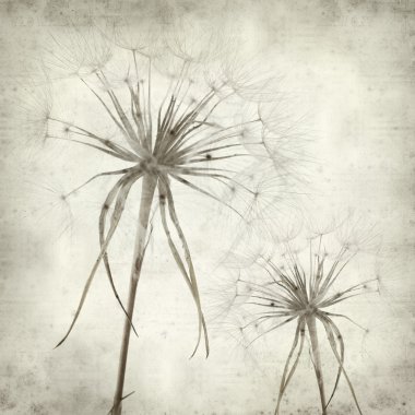 desenli eski kağıt arkaplan  