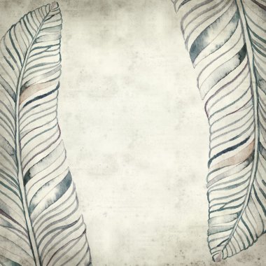 desenli eski kağıt arkaplan  