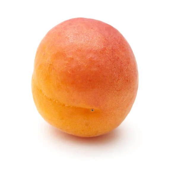 Small ripe apricot — Stock Photo, Image