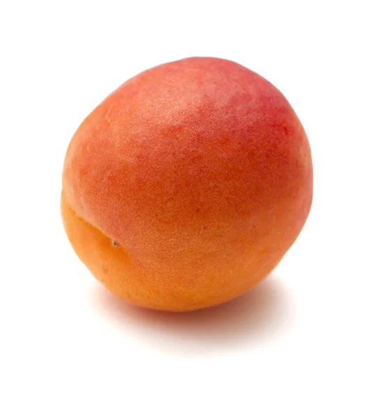 Kleine rijpe abrikoos — Stockfoto