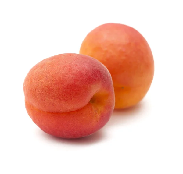 Small ripe apricot — Stock Photo, Image