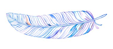 beyaz üzerine suluboya tüy