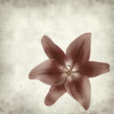 desenli eski kağıt arkaplan  