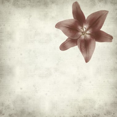 desenli eski kağıt arkaplan  