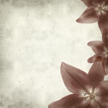 desenli eski kağıt arkaplan  