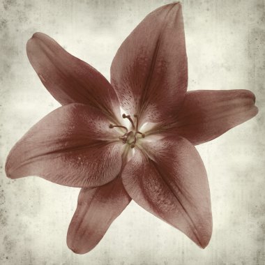 desenli eski kağıt arkaplan  