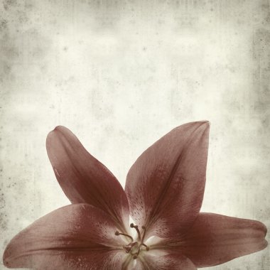 desenli eski kağıt arkaplan  