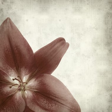 desenli eski kağıt arkaplan  