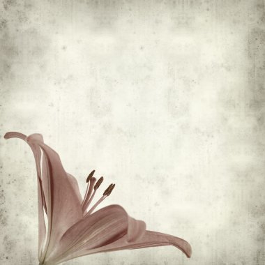 desenli eski kağıt arkaplan  