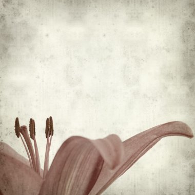 desenli eski kağıt arkaplan  