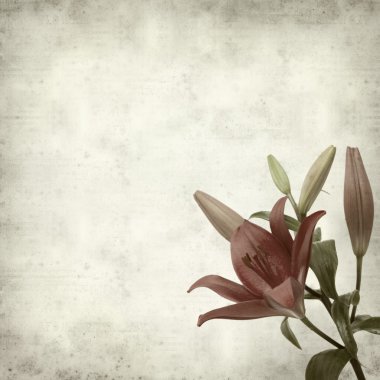 desenli eski kağıt arkaplan  