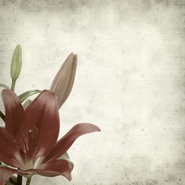 desenli eski kağıt arkaplan  