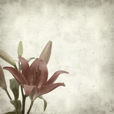 desenli eski kağıt arkaplan  