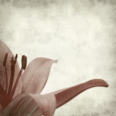 desenli eski kağıt arkaplan  