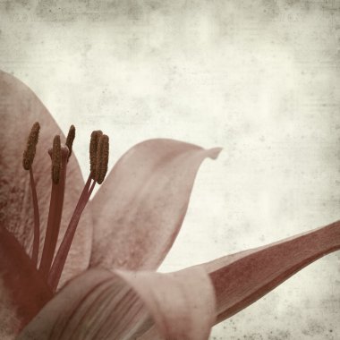 desenli eski kağıt arkaplan  