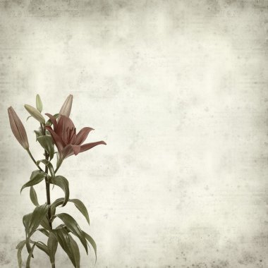 desenli eski kağıt arkaplan  