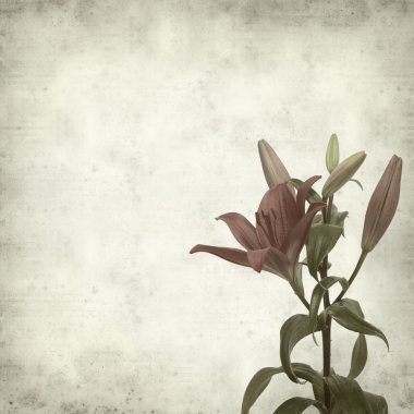 desenli eski kağıt arkaplan  