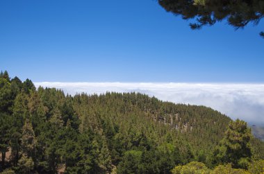 İç Merkez Gran Canaria, Las Huelva'daki, i en yüksek alanlarında