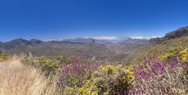 Gran canaria, caldera de tejeda