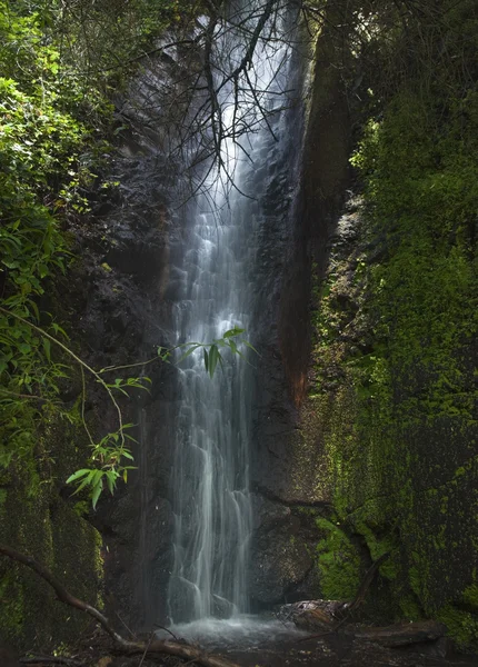 Gran Canaria, vattenfall i ravinen Barranco de La Mina — Stockfoto