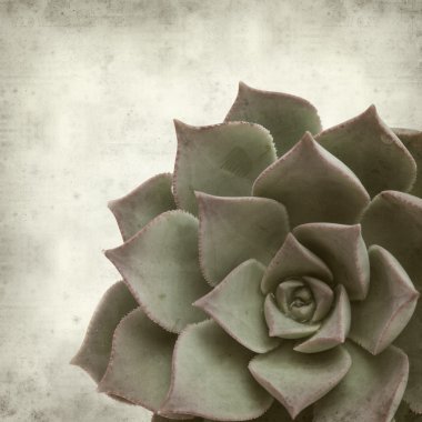 desenli eski kağıt arkaplan  