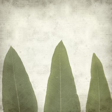 desenli eski kağıt arkaplan  