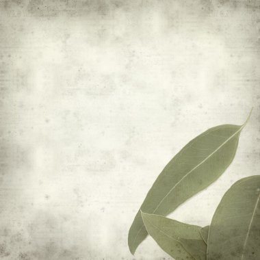 desenli eski kağıt arkaplan  