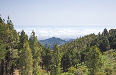 Temmuz ayında Merkezi Gran Canaria