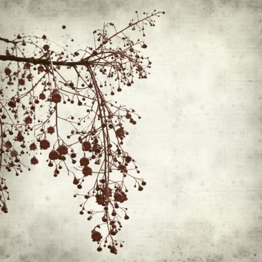 desenli eski kağıt arkaplan  