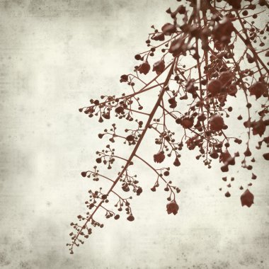 desenli eski kağıt arkaplan  