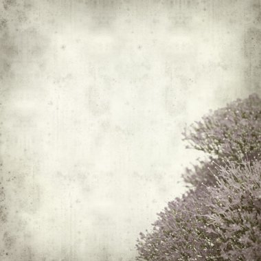 desenli eski kağıt arkaplan  