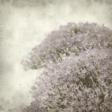 desenli eski kağıt arkaplan  