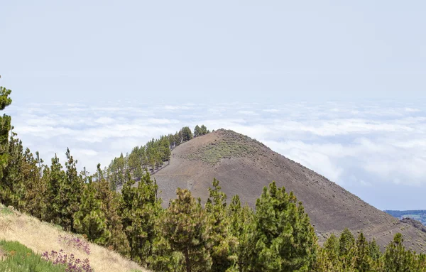 Gran Canaria centrale a luglio — Foto Stock