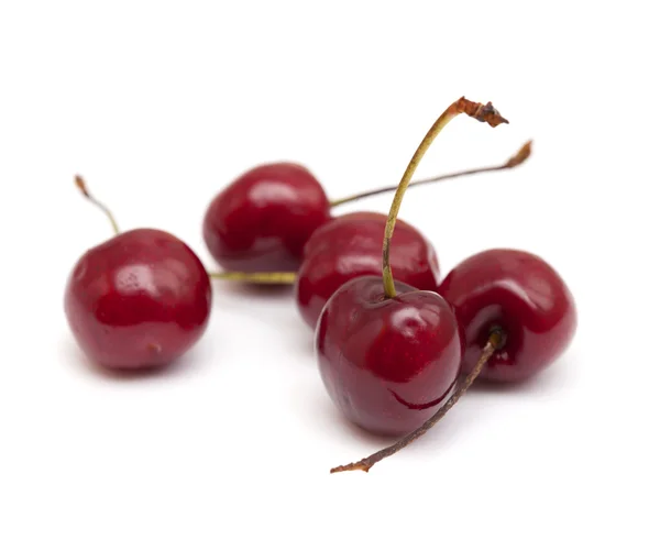 Cereza roja oscura aislada en blanco — Foto de Stock