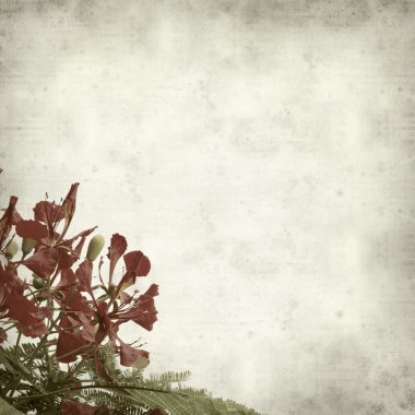 desenli eski kağıt arkaplan  