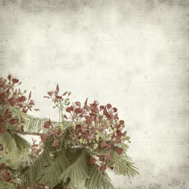 desenli eski kağıt arkaplan  