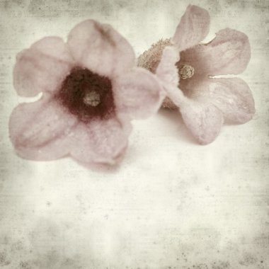 desenli eski kağıt arkaplan  