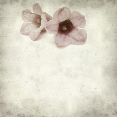 desenli eski kağıt arkaplan  