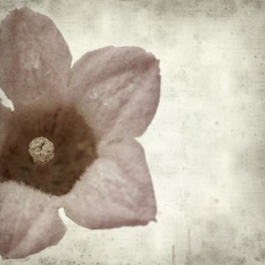 desenli eski kağıt arkaplan  